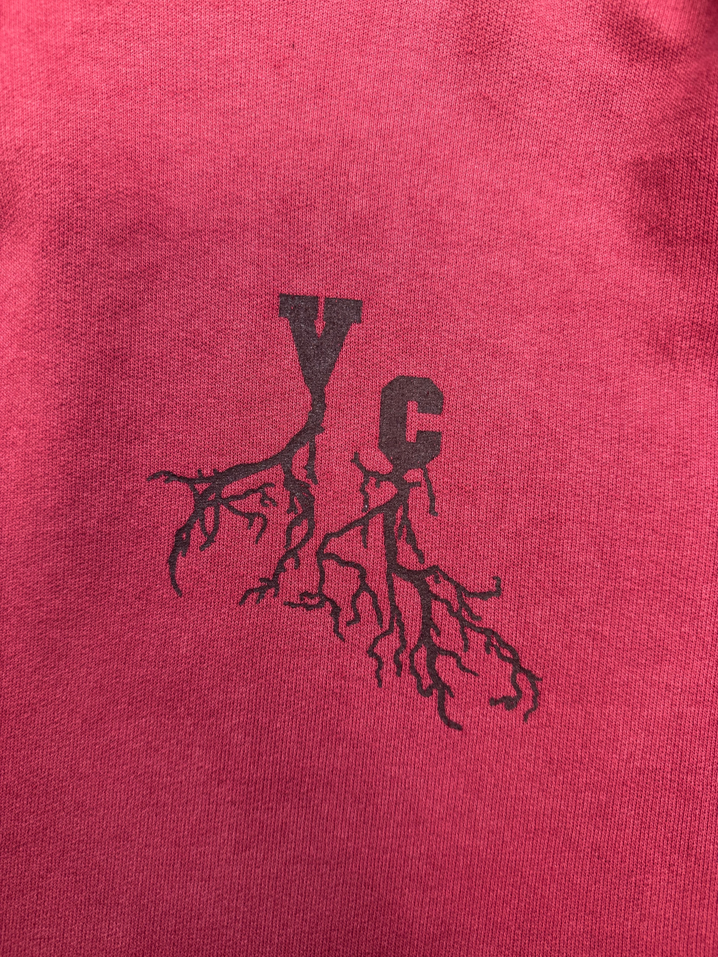 AW02 Raf Simons ‘Virginia Creeper’ Red Faded Roots Hoodie