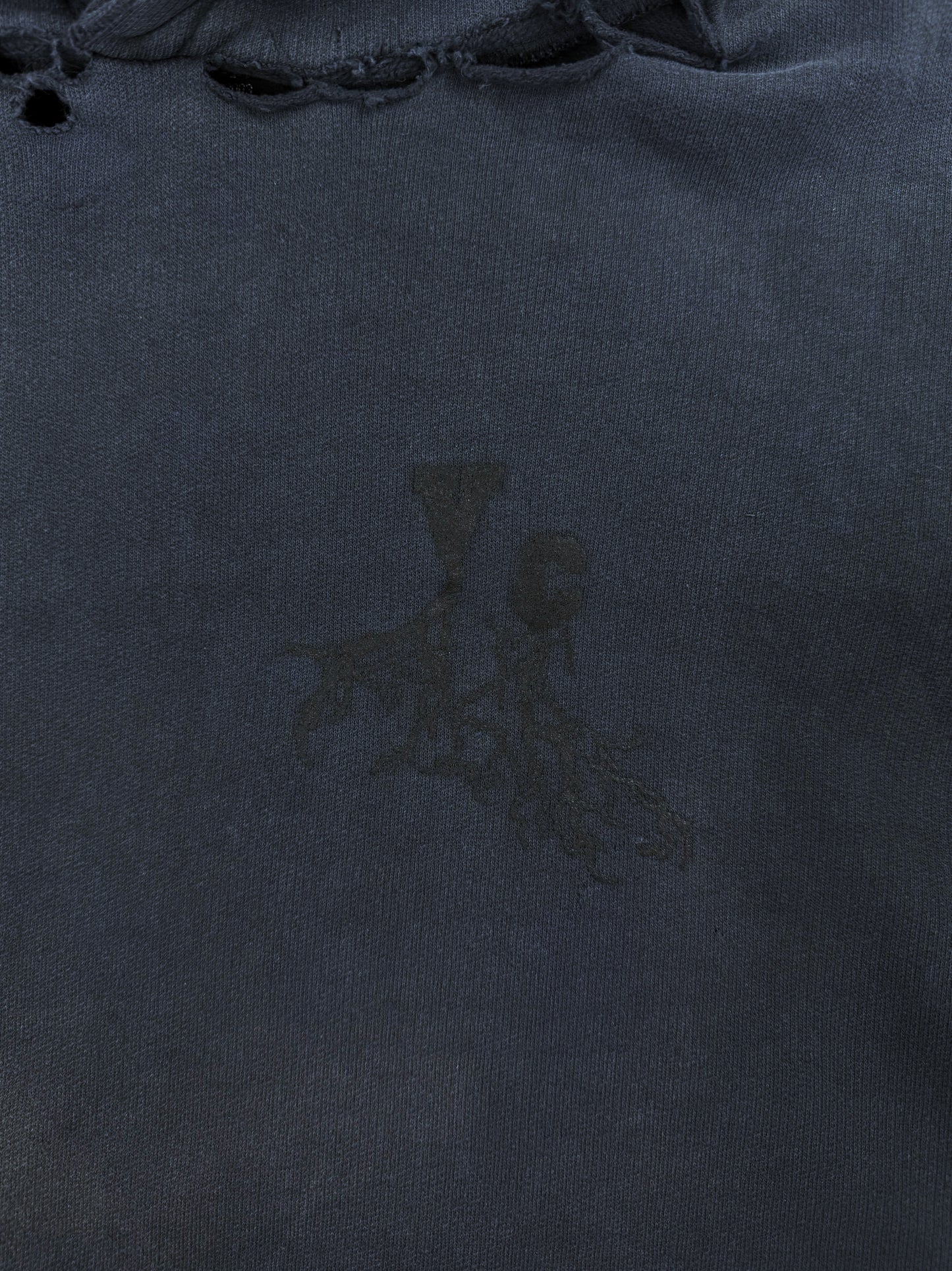 AW02 Raf Simons ‘Virginia Creeper’ Sun Faded Roots Hoodie