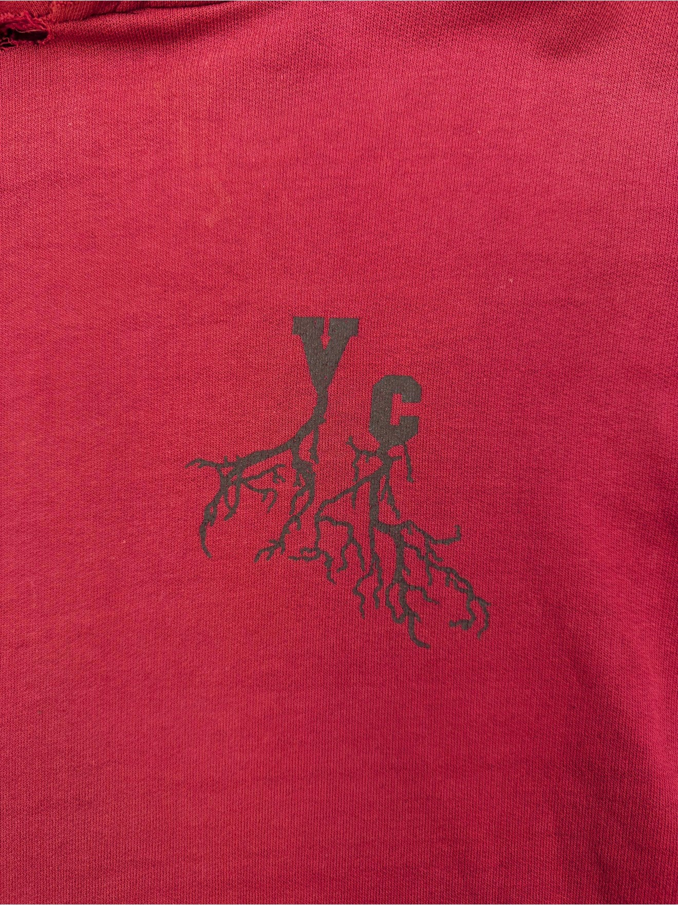 AW02 Raf Simons ‘Virginia Creeper’ Red Faded Roots Hoodie