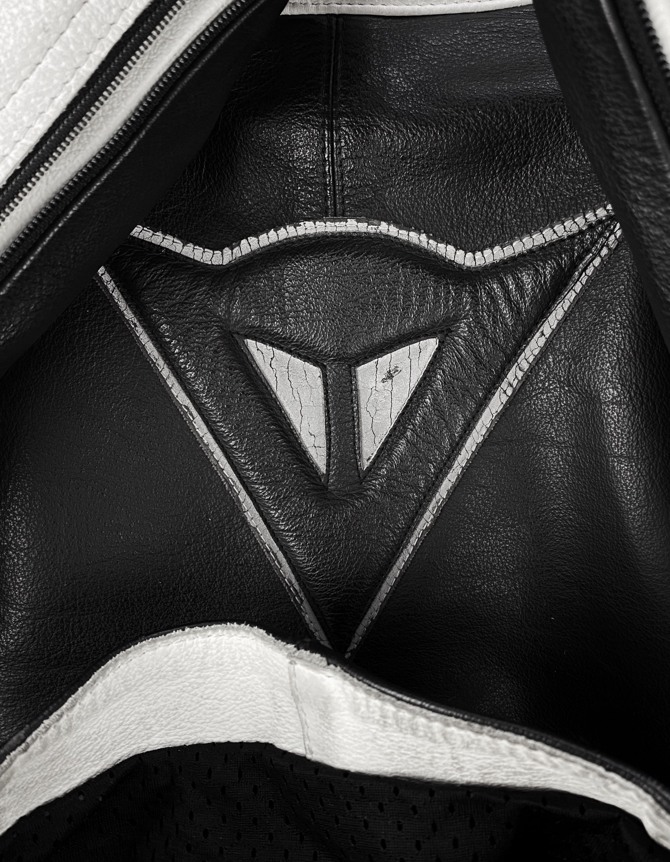 Dainese Leather Two Tone High Neck Spellout Logo Jacket