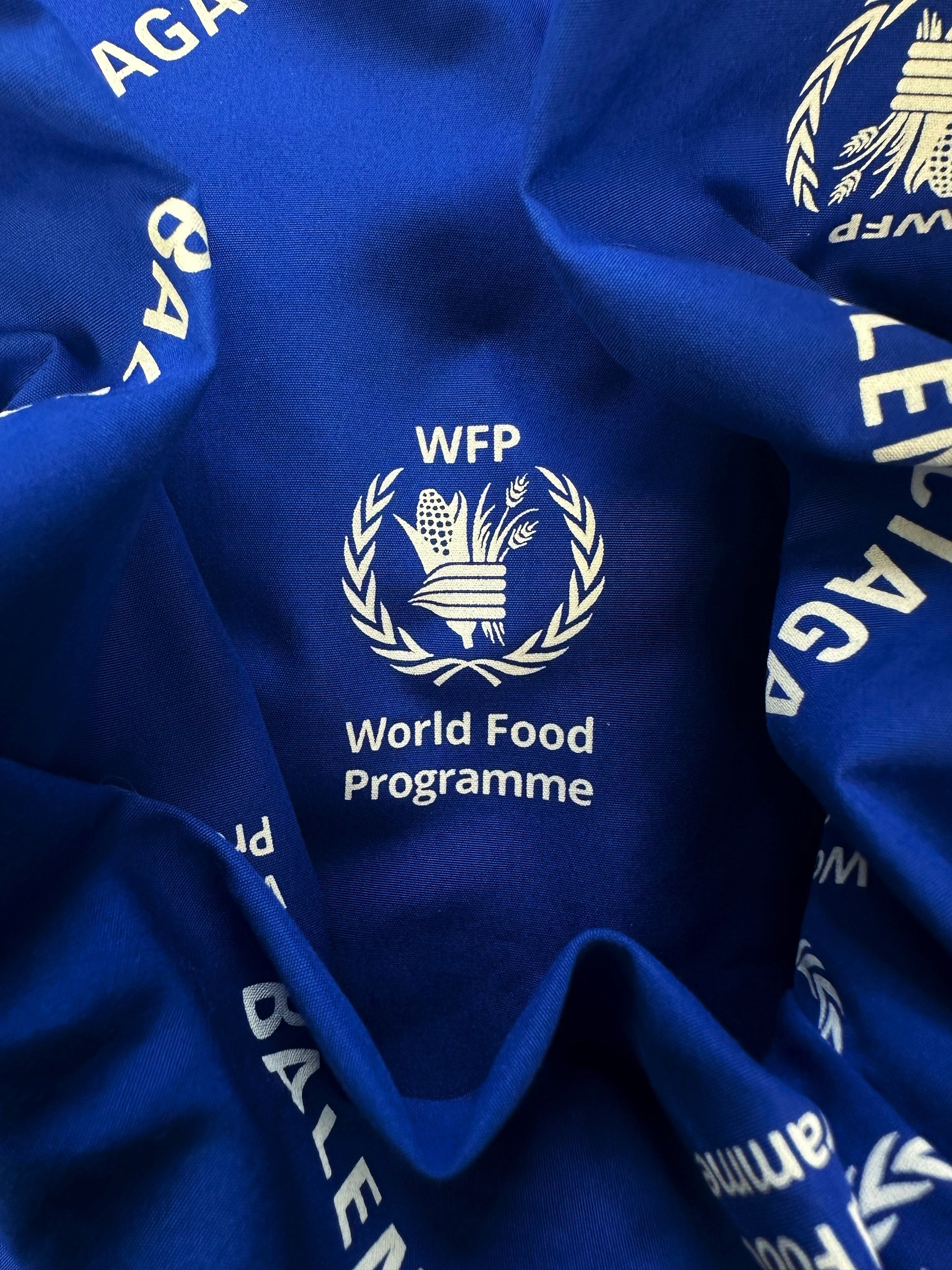 Balenciaga x World Food Programme Sky Blue Monogram Shorts