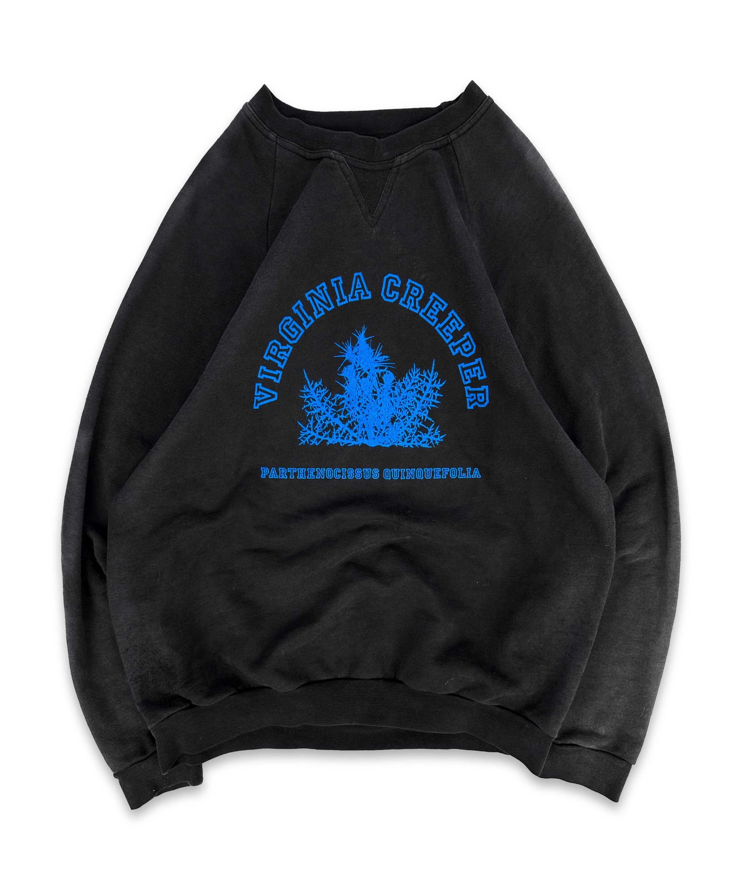 AW02 RAF SIMONS 'VIRGINIA CREEPER' COLLEGIATE LOGO CREWNECK