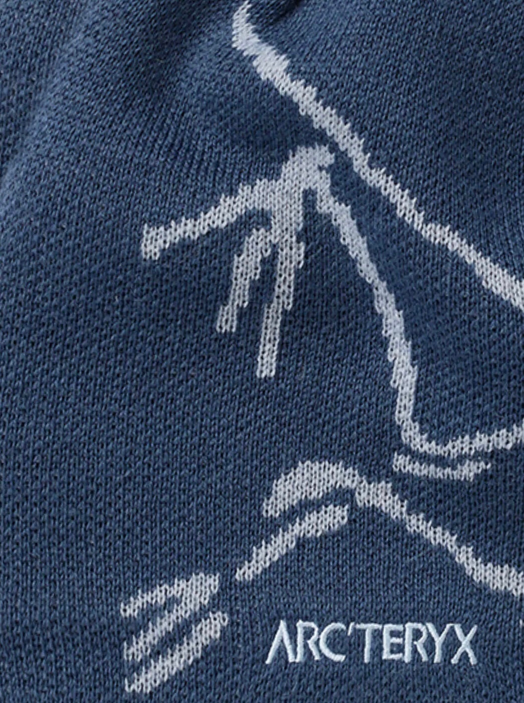 Arc’teryx Dead Bird Logo Embroidered Knit Blue Beanie