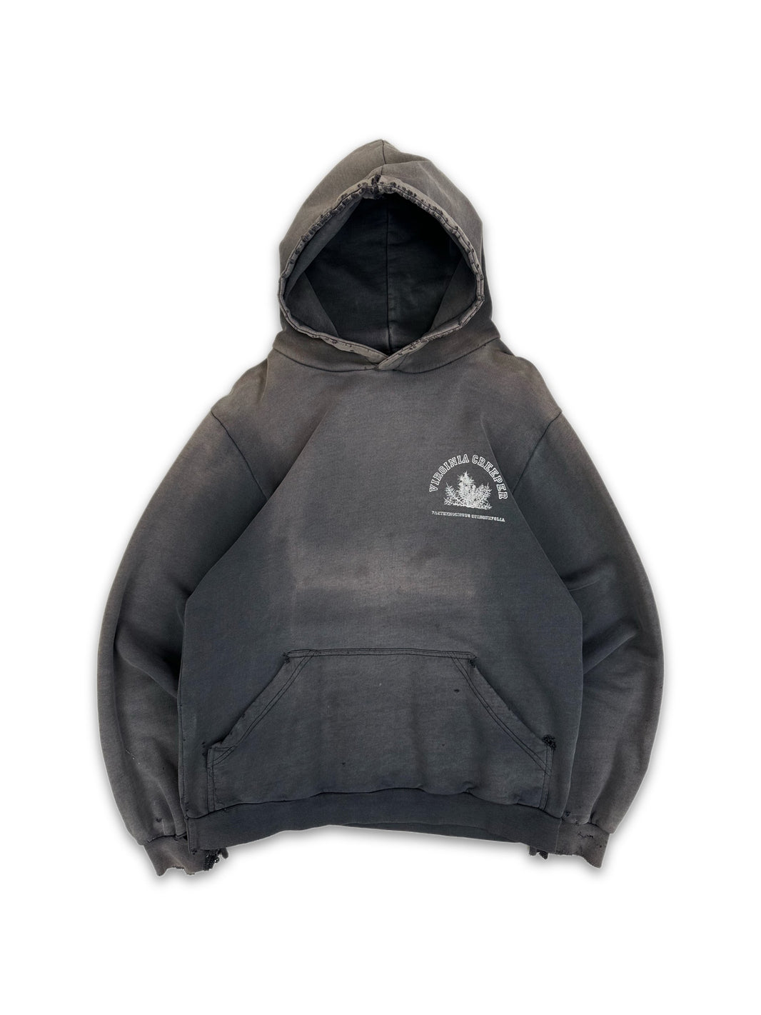 AW02 Raf Simons ‘Virginia Creeper’ Sun Faded Chest Logo Hoodie