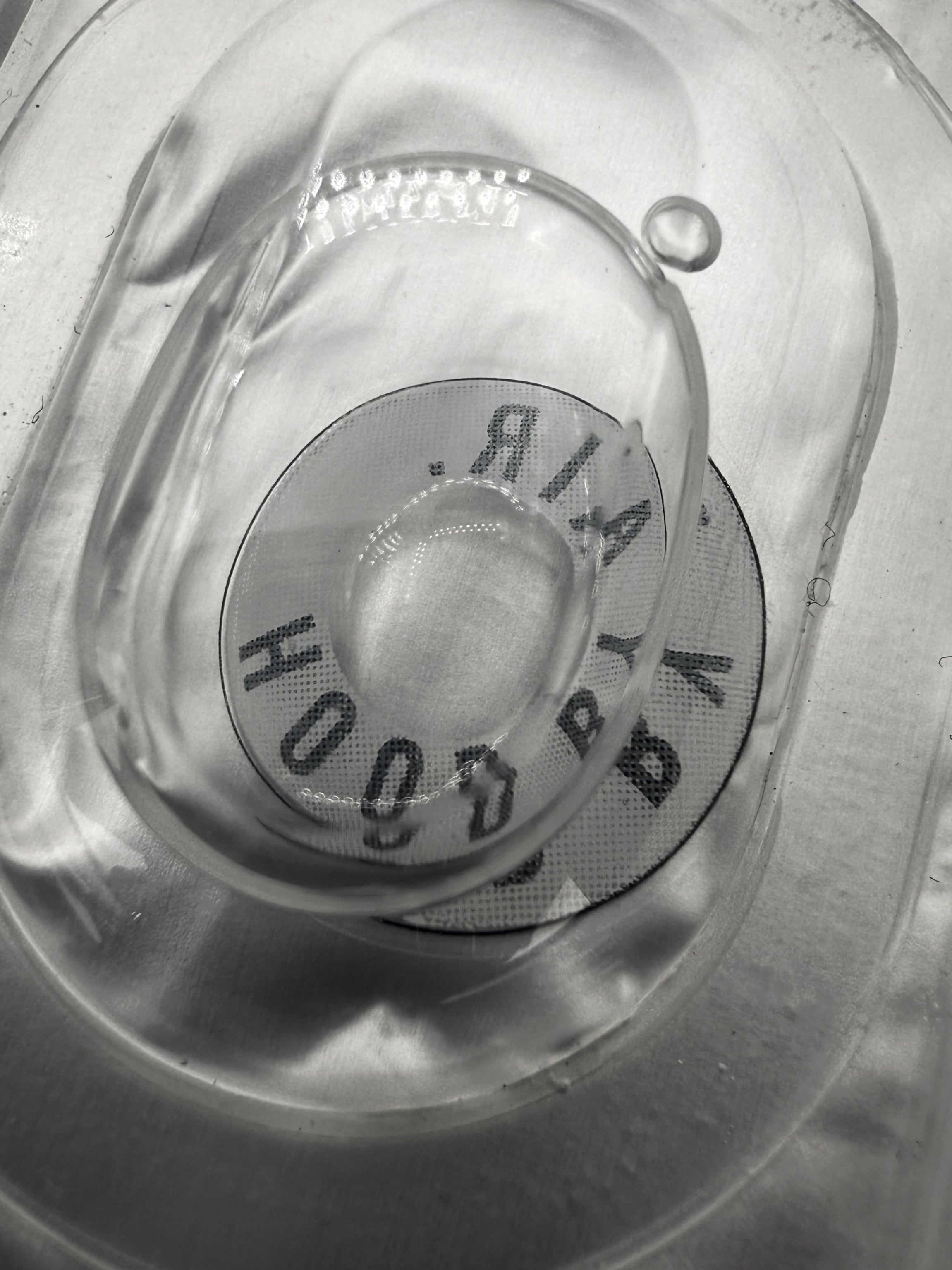 SS15 Hood by Air UNRELEASED SAMPLE Monogram Logo Eye Contacts