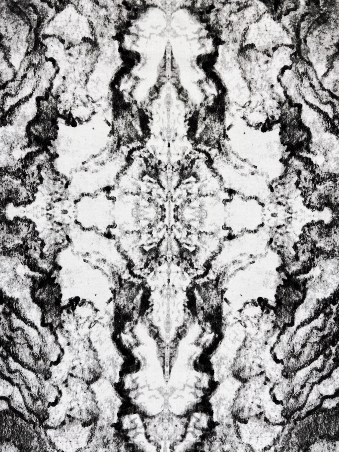 SS14 Alexander McQueen Skull Trompe L’Oeil Longsleeve Shirt