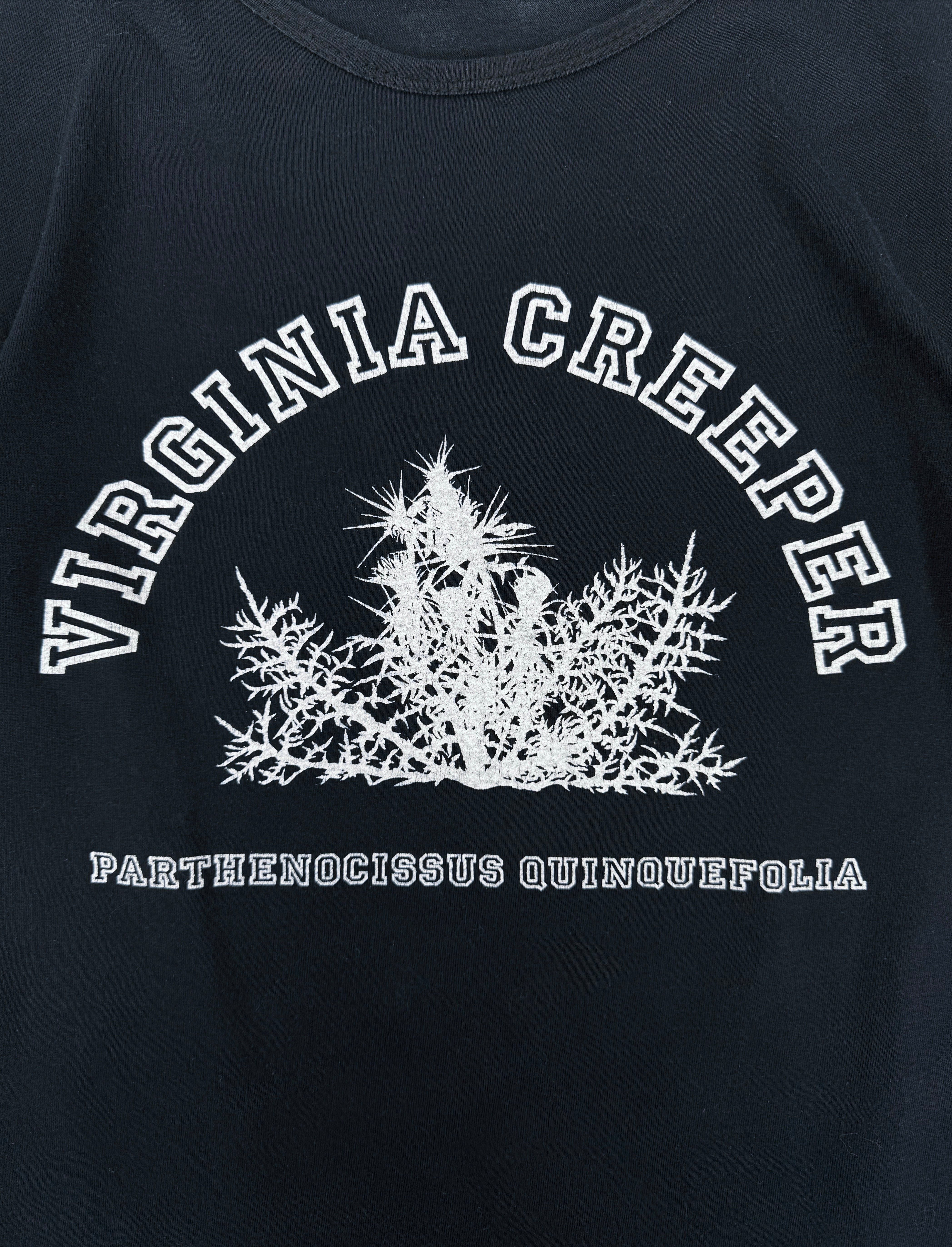 AW02 RAF SIMONS 'VIRGINIA CREEPER' GRAPHIC LONG SLEEVE SHIRT