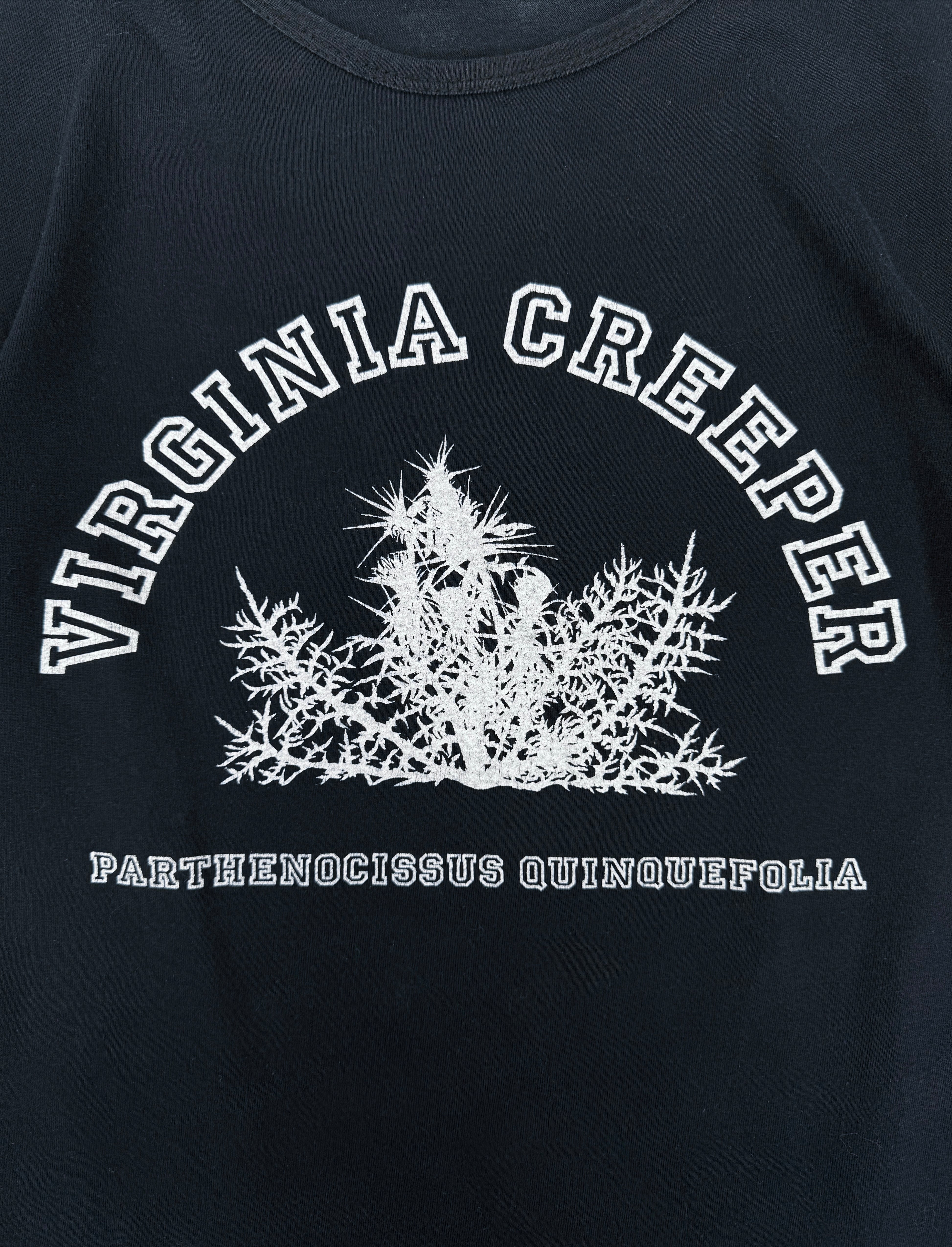 AW02 Raf Simons ‘Virginia Creeper’ Graphic Long Sleeve Shirt