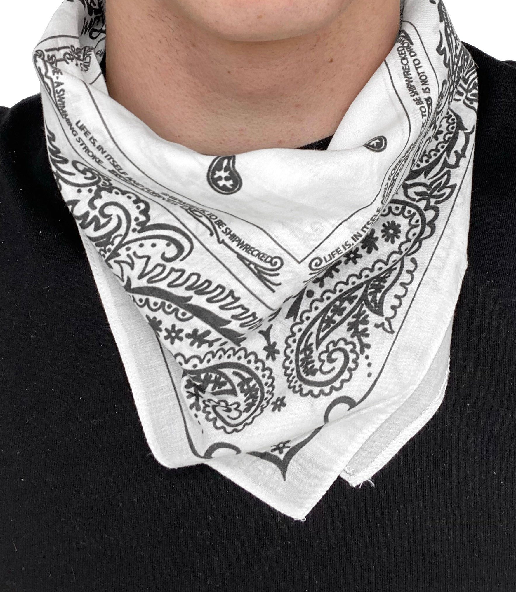 AW04 Raf Simons “Waves” Paisley Print Poem Bandana