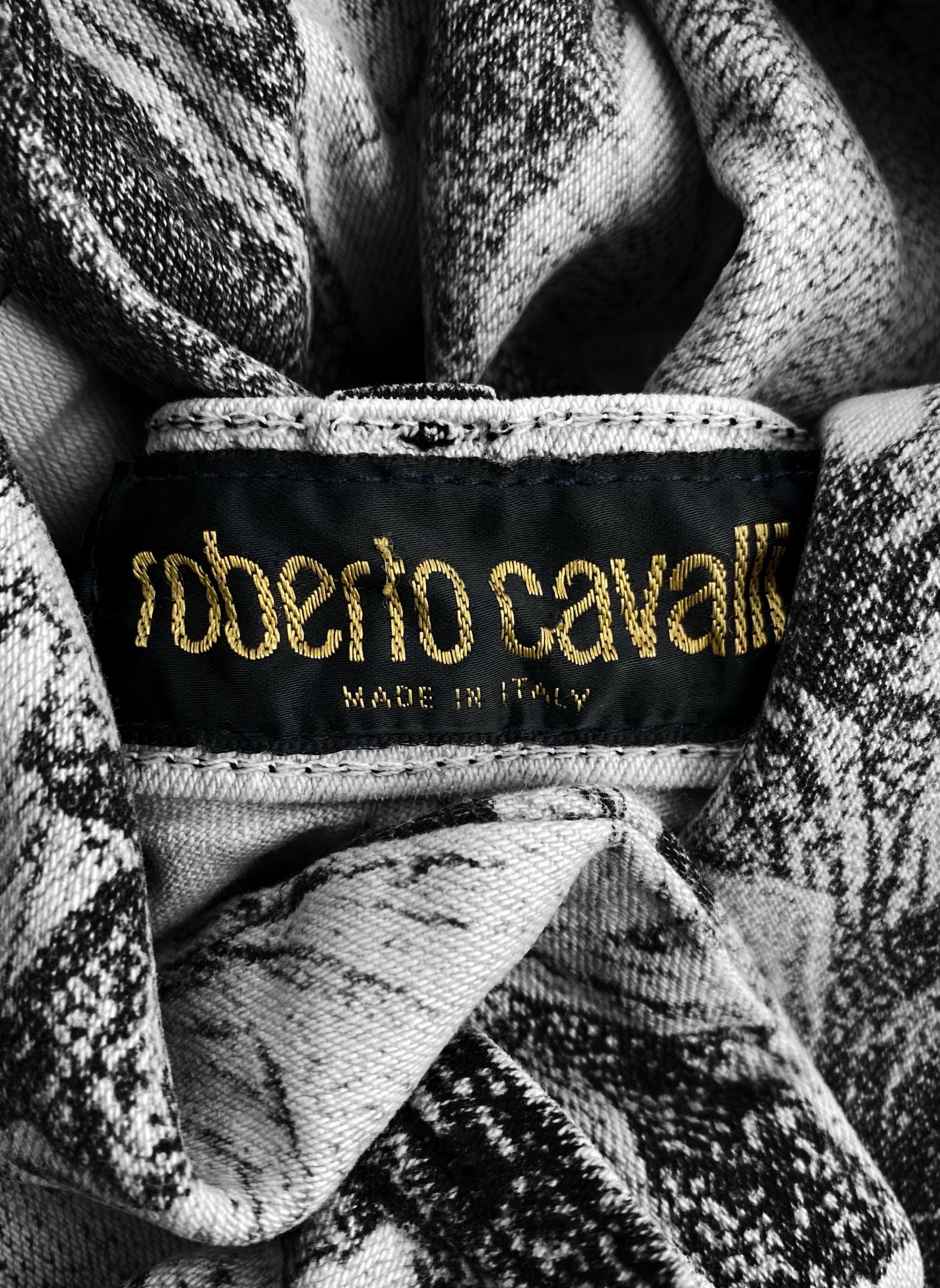 AW94 Roberto Cavalli ‘Renaissance’ Painting Landscape Denim