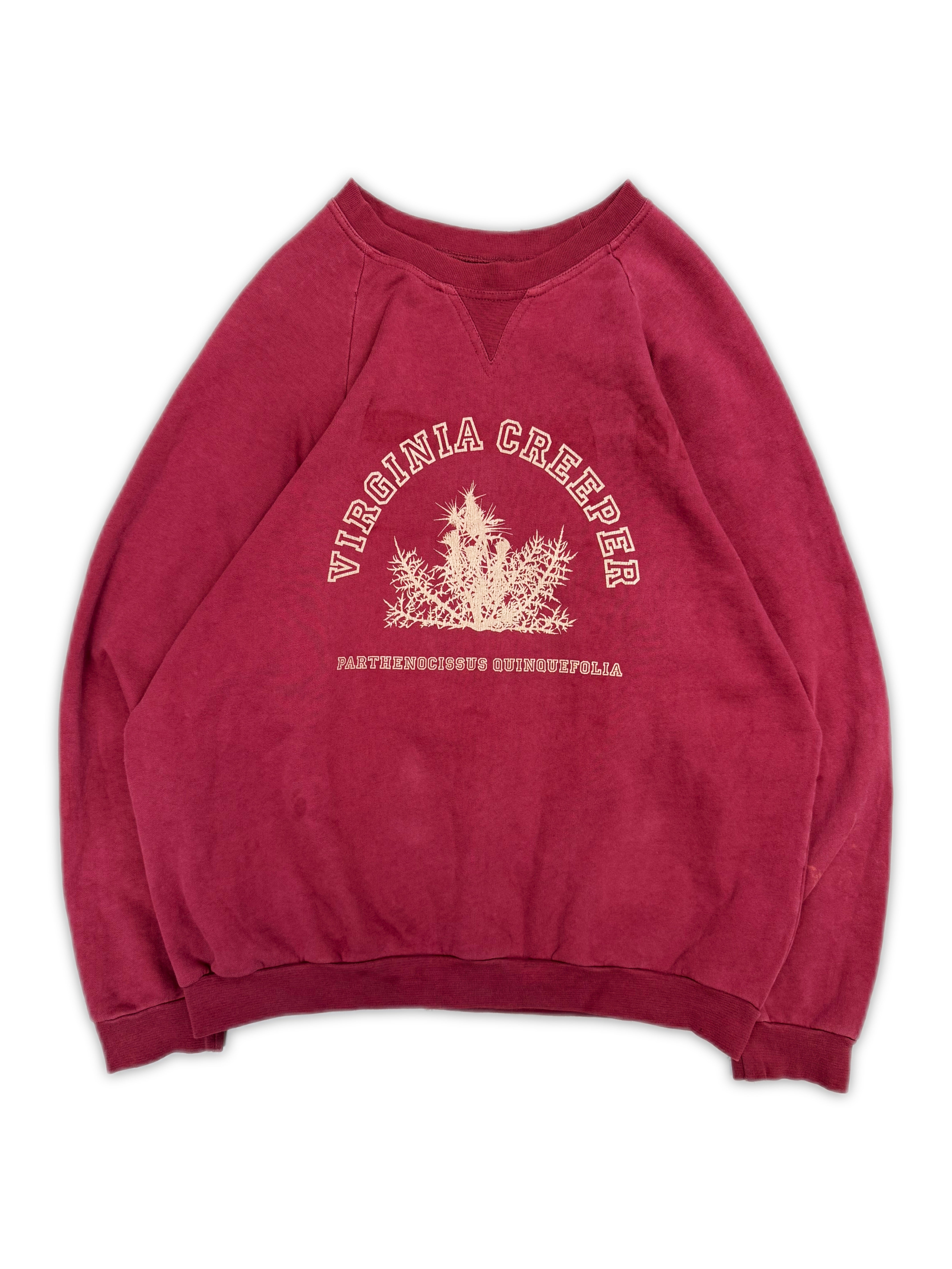 AW02 RAF SIMONS 'VIRGINIA CREEPER' COLLEGIATE RED CREWNECK