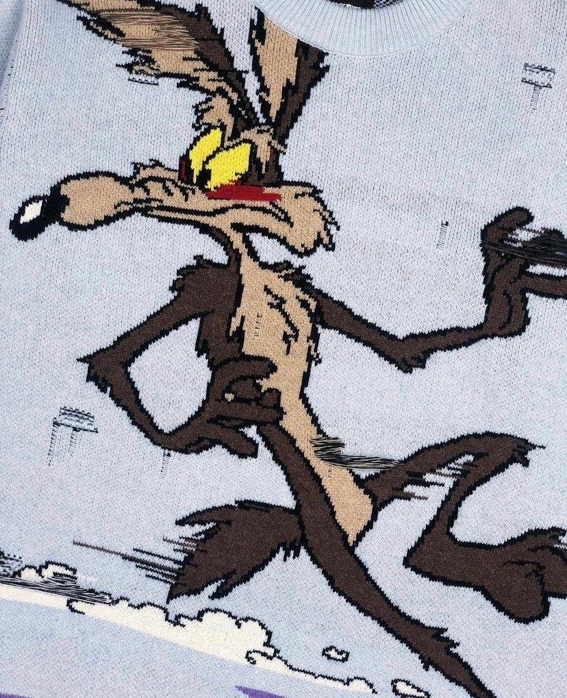 AW18 CK205W39NYC Raf Simons Looney Tunes ‘Road Runner’ Knit