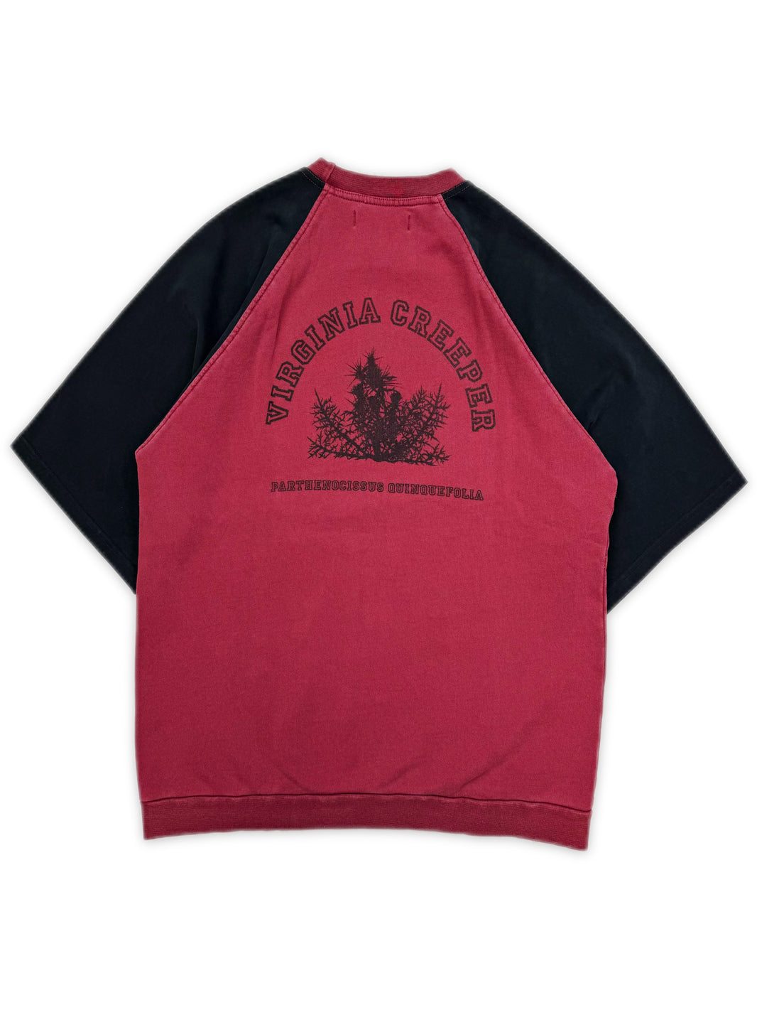 AW02 Raf Simons ‘Virginia Creeper’ Red Raglan T-Shirt