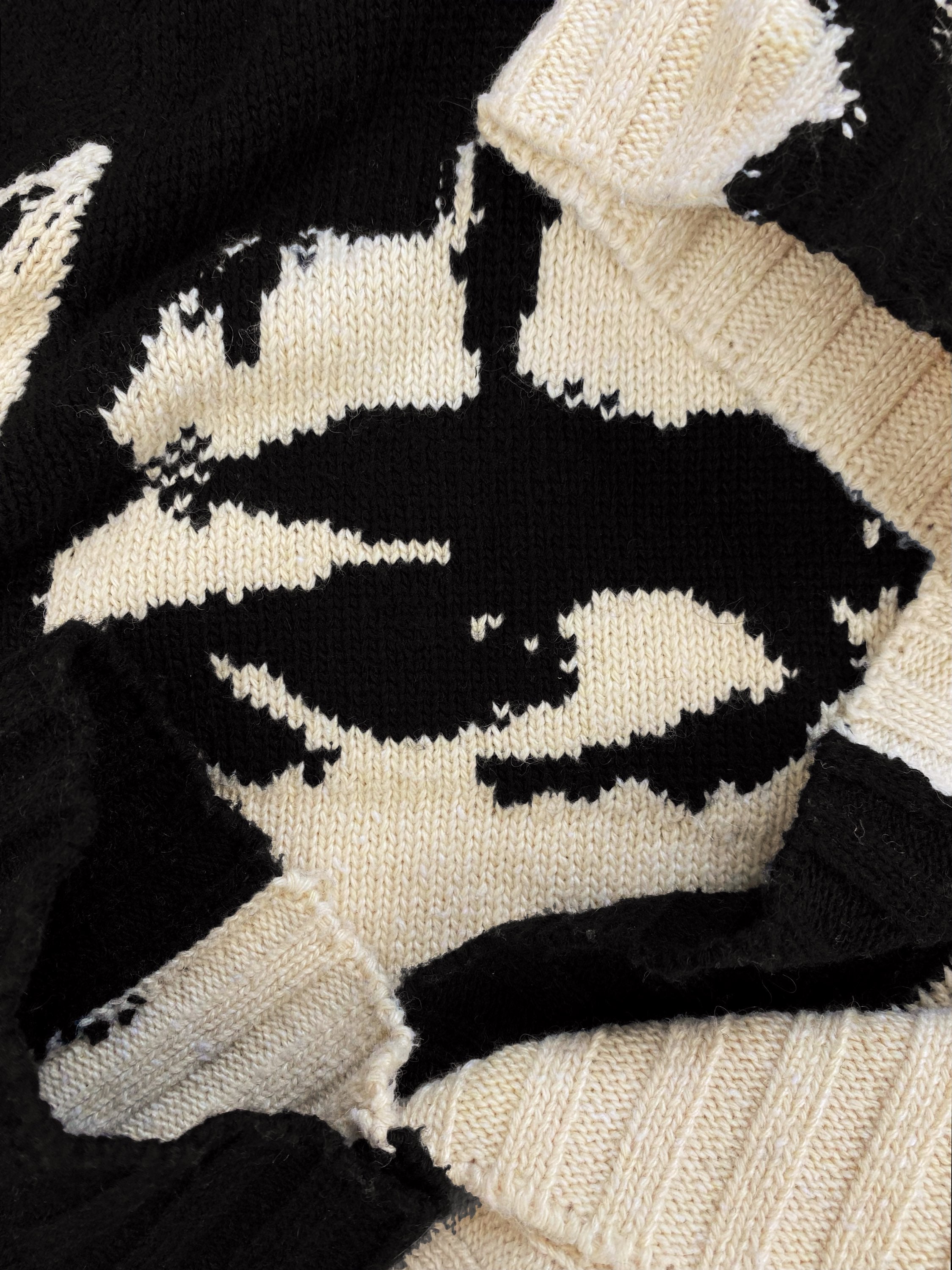 Raf Simons CK205W39NYC x Andy Warhol ‘Stephen Sprouse’ Knit Sweater