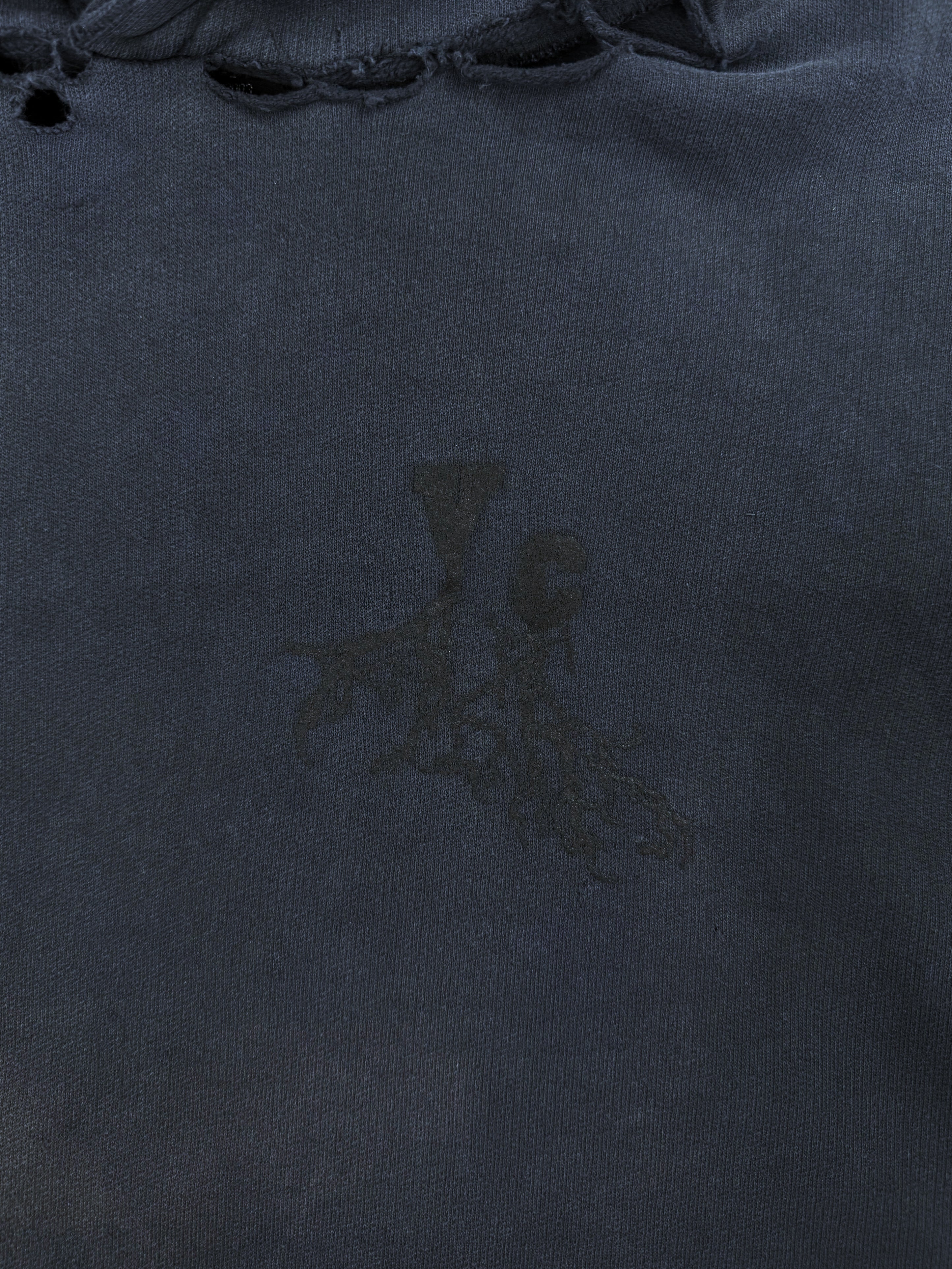 AW02 Raf Simons ‘Virginia Creeper’ Sun Faded Roots Hoodie