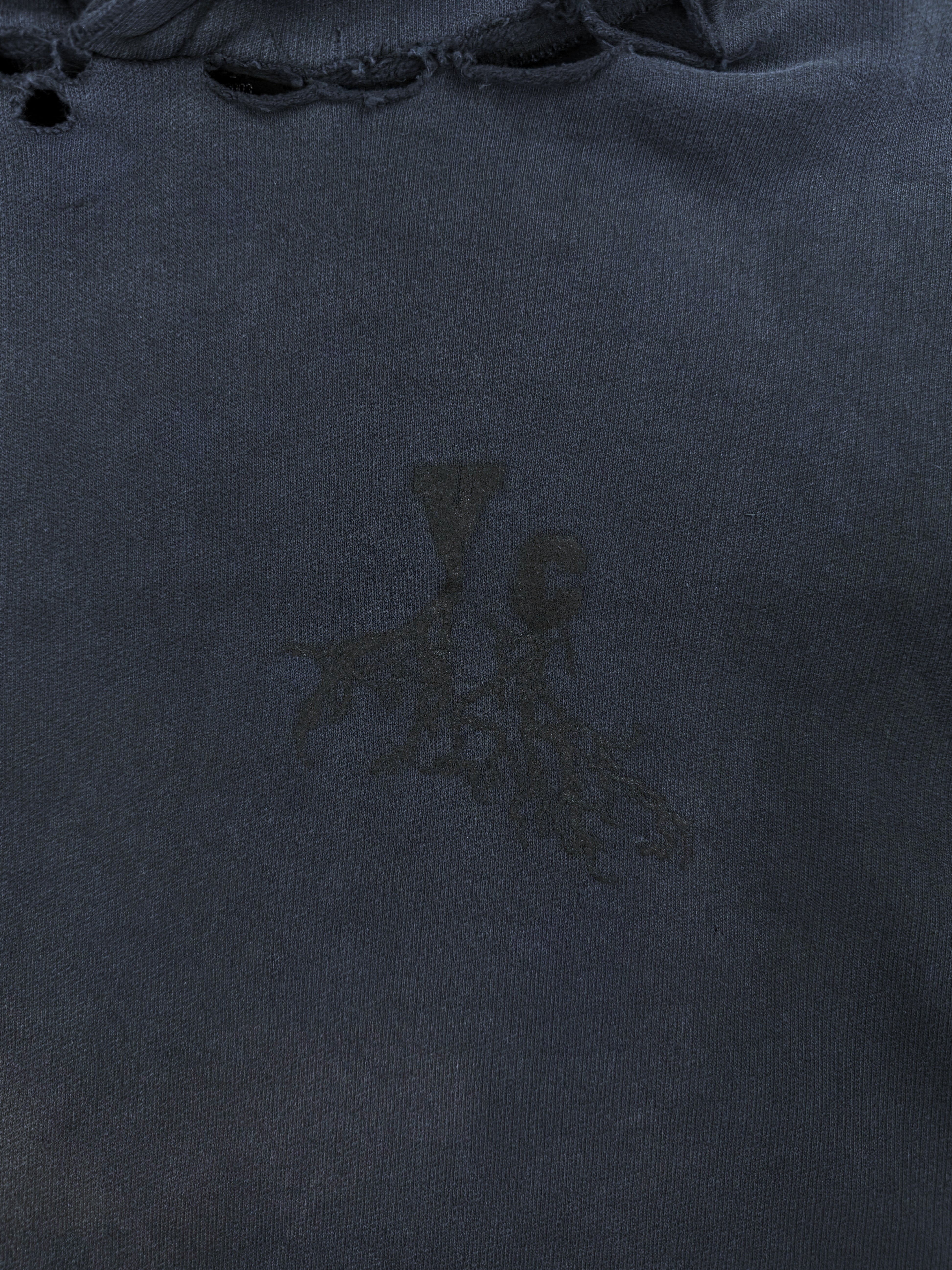 AW02 Raf Simons ‘Virginia Creeper’ Sun Faded Roots Hoodie