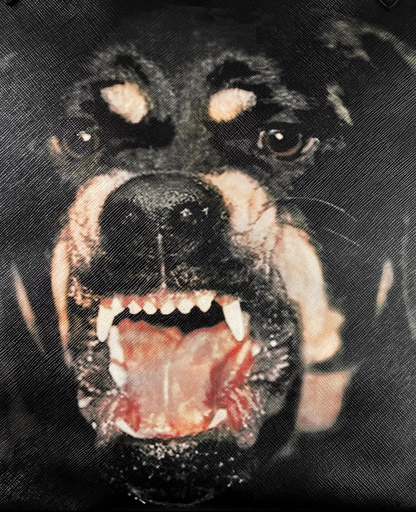 FW11 Givenchy Rottweiler Leather Antigona Handbag + Clutch