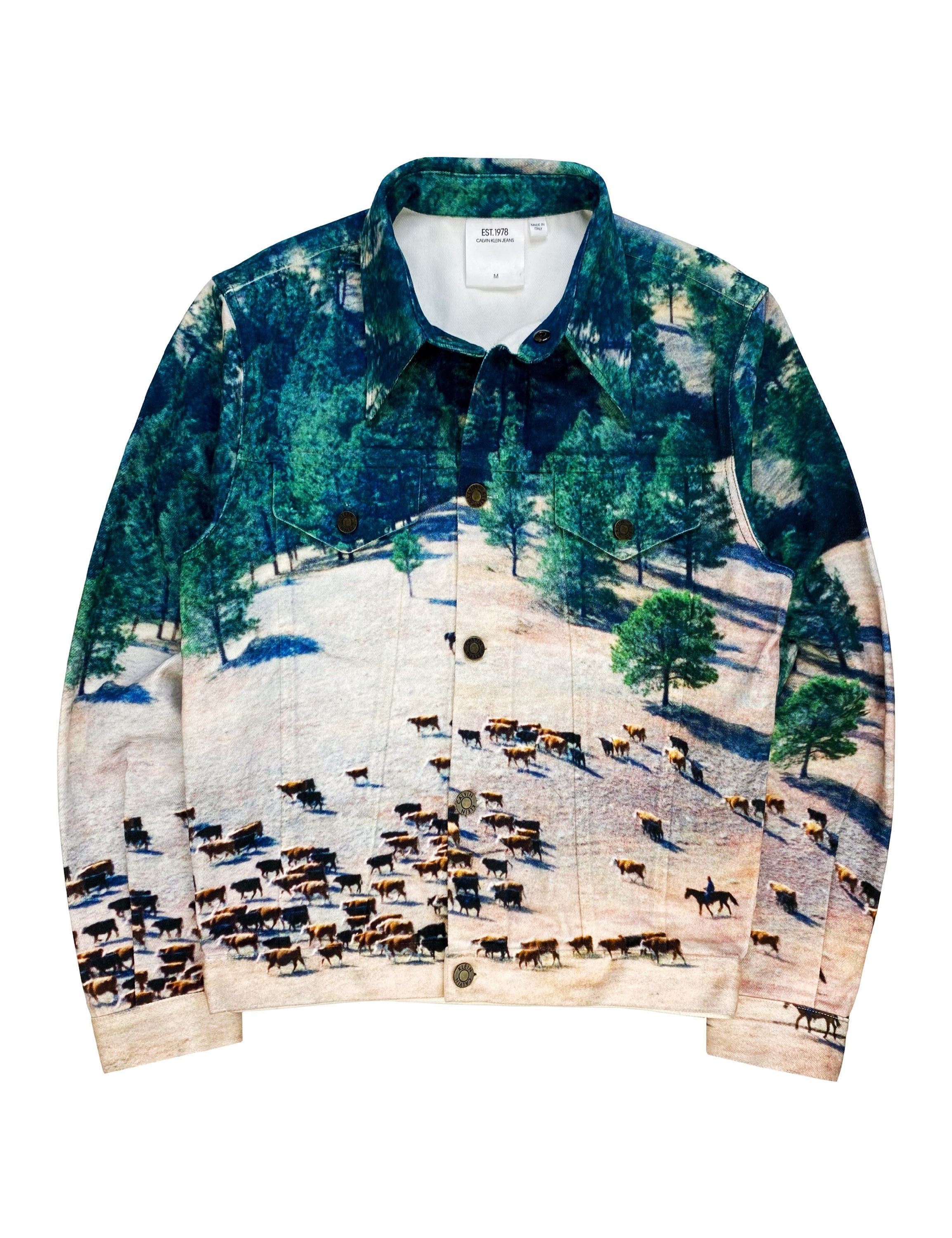 FW18 Raf Simons CK205W39NYC ‘Landscape’ Western Trucker Jacket