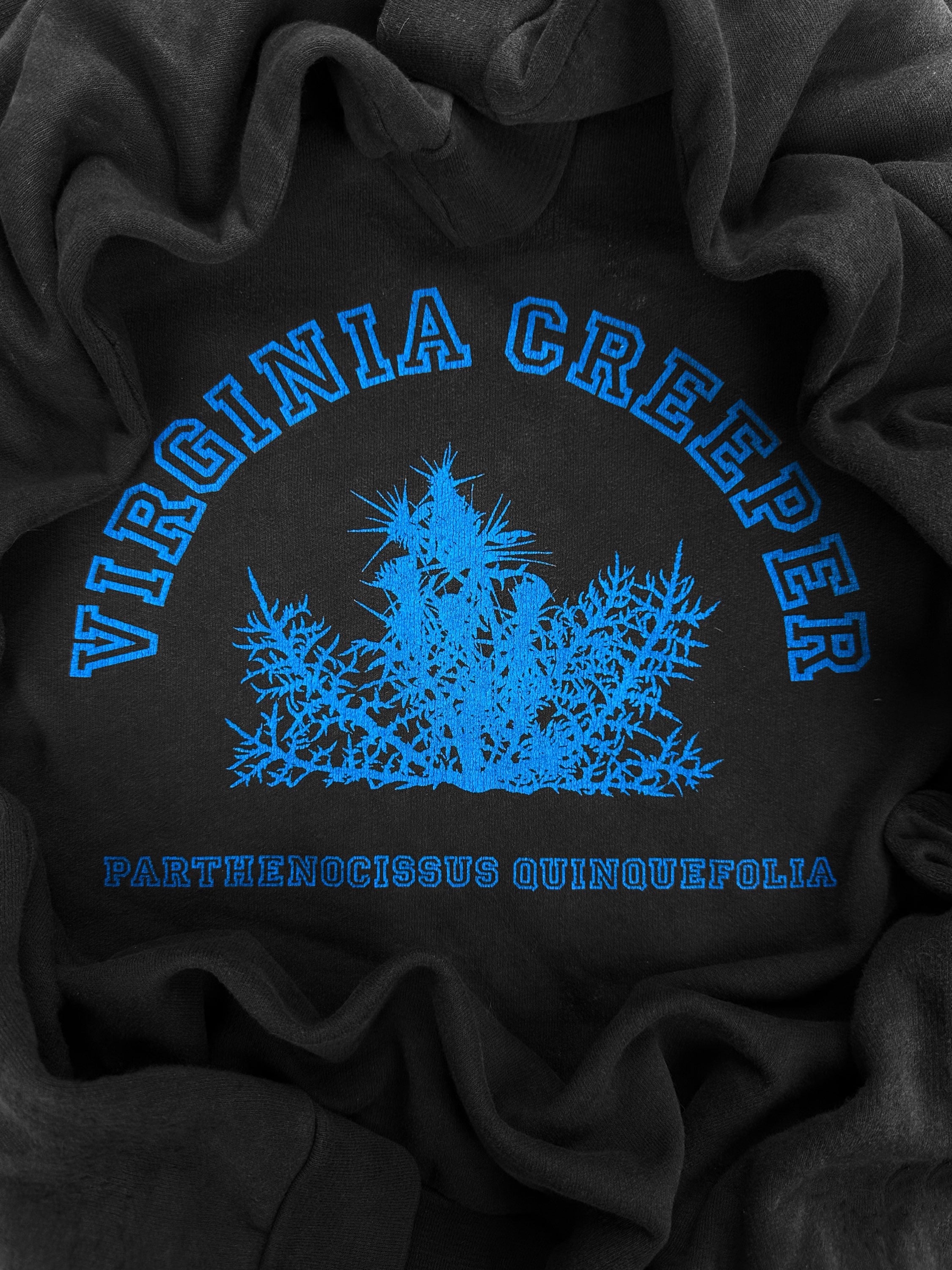 AW02 Raf Simons ‘Virginia Creeper’ Collegiate Logo Crewneck