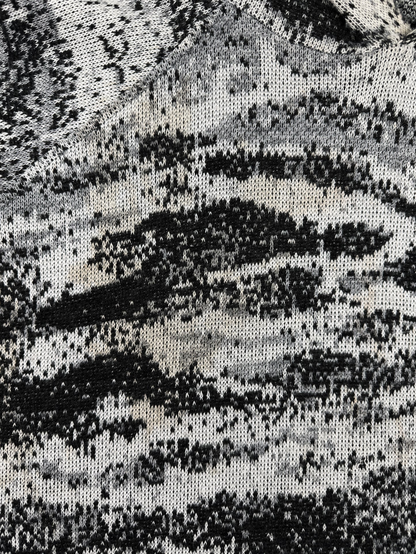 AW02 Raf Simons ‘Virginia Creeper’ Snow Digicamo Raglan OS Hoodie