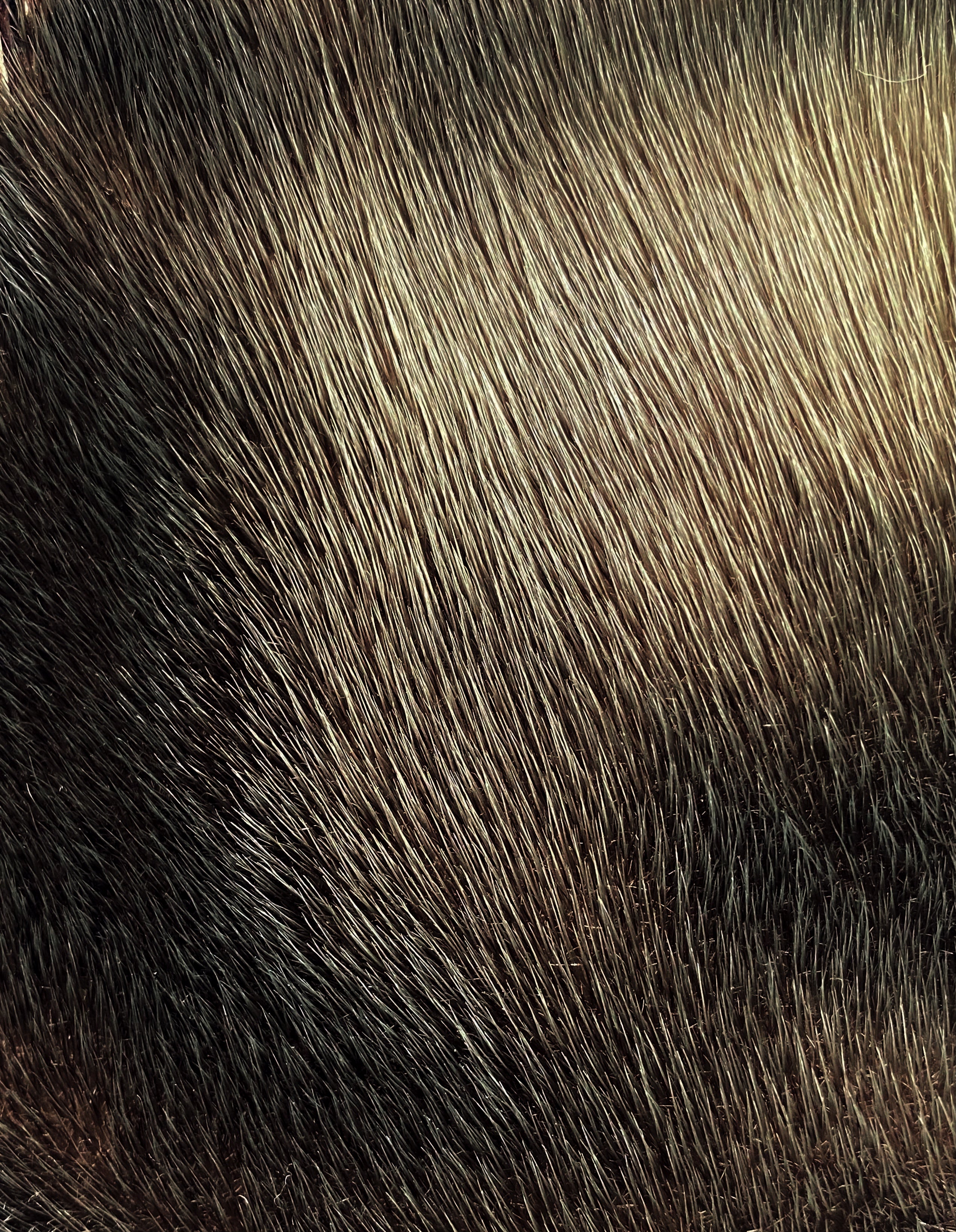 SS17 Prada Seal Fur Brown Leather Gloves