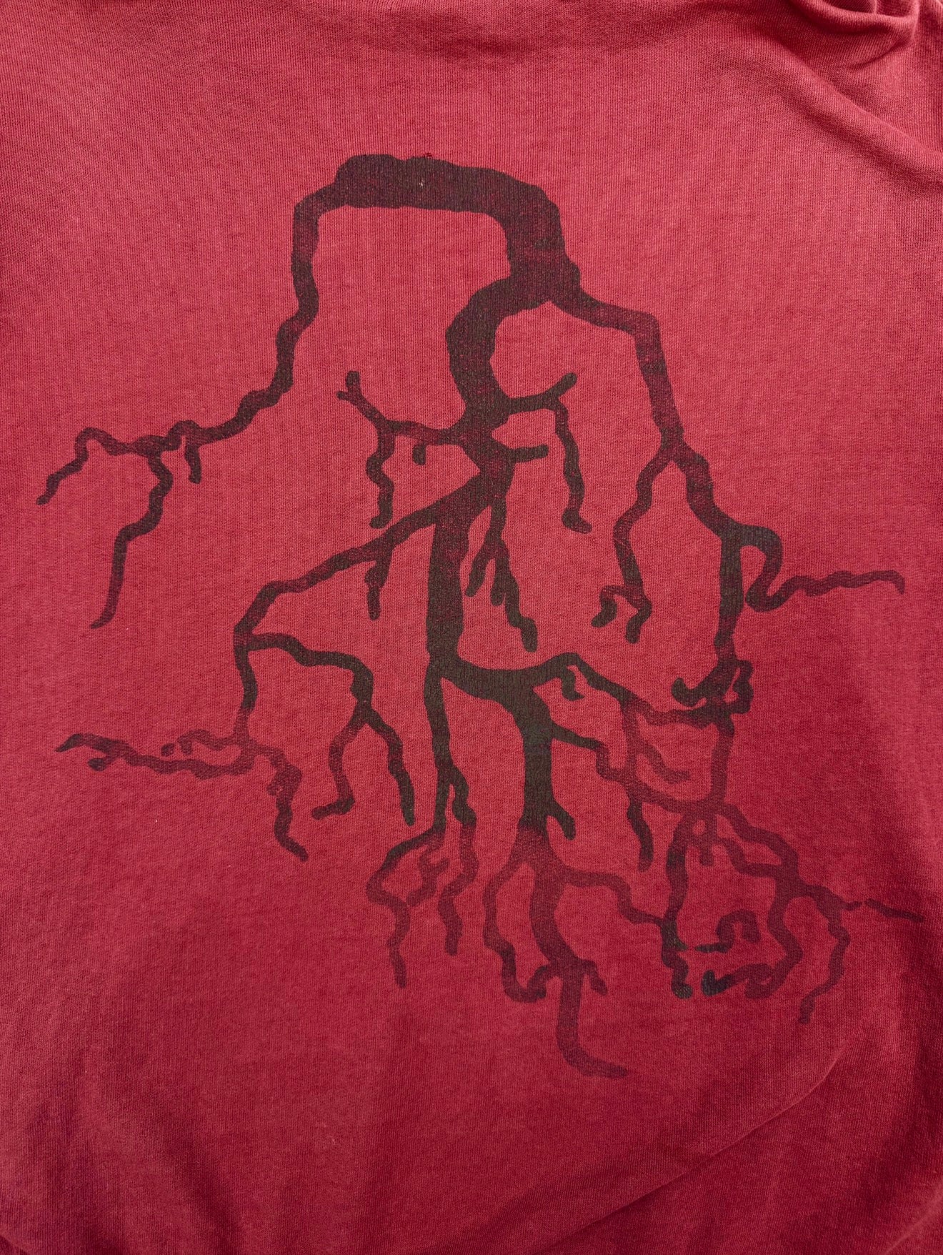 AW02 Raf Simons ‘Virginia Creeper’ Red Faded Roots Hoodie