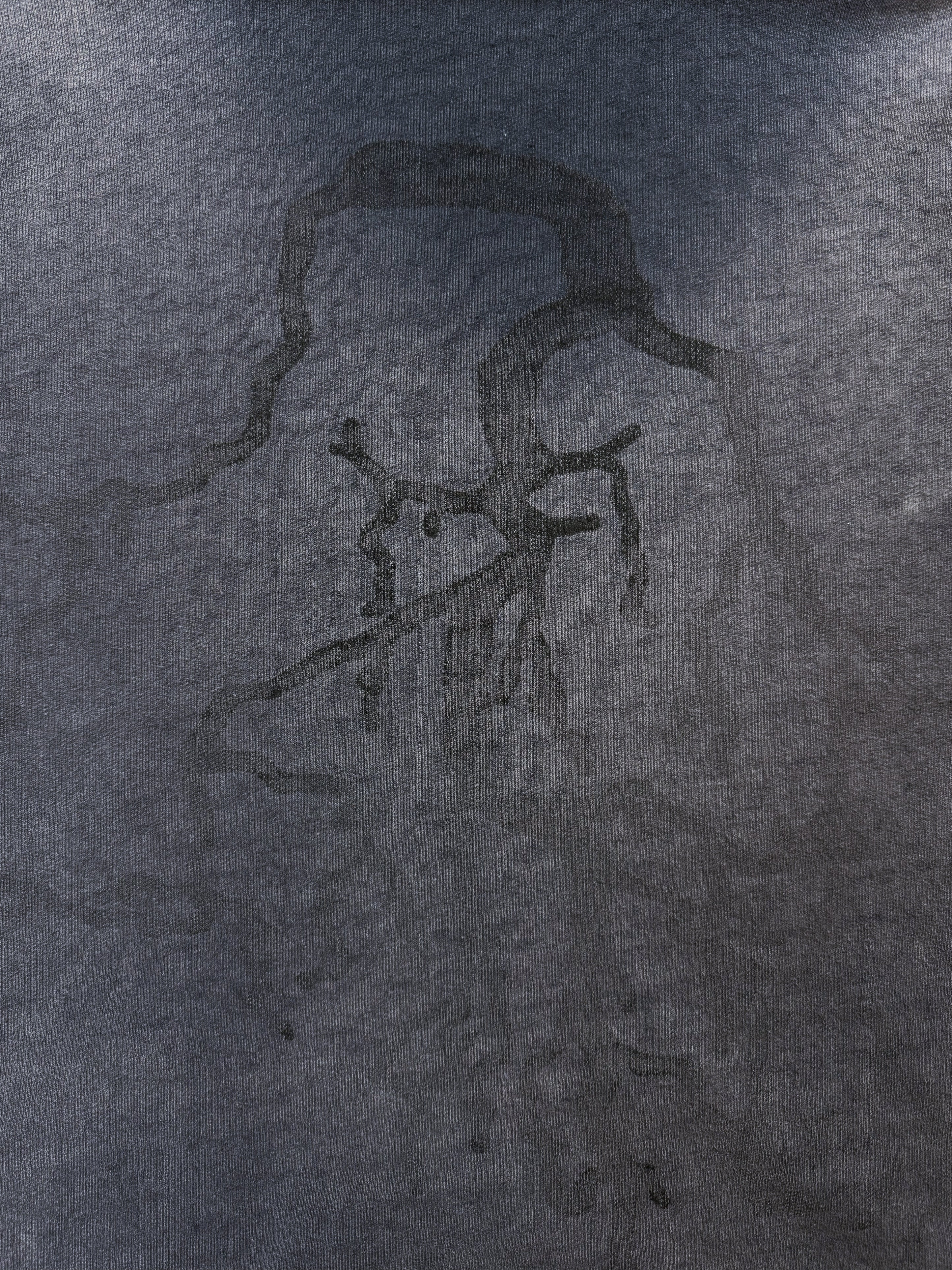 AW02 Raf Simons ‘Roots’ Virginia Creeper Sun Faded Black Hoodie