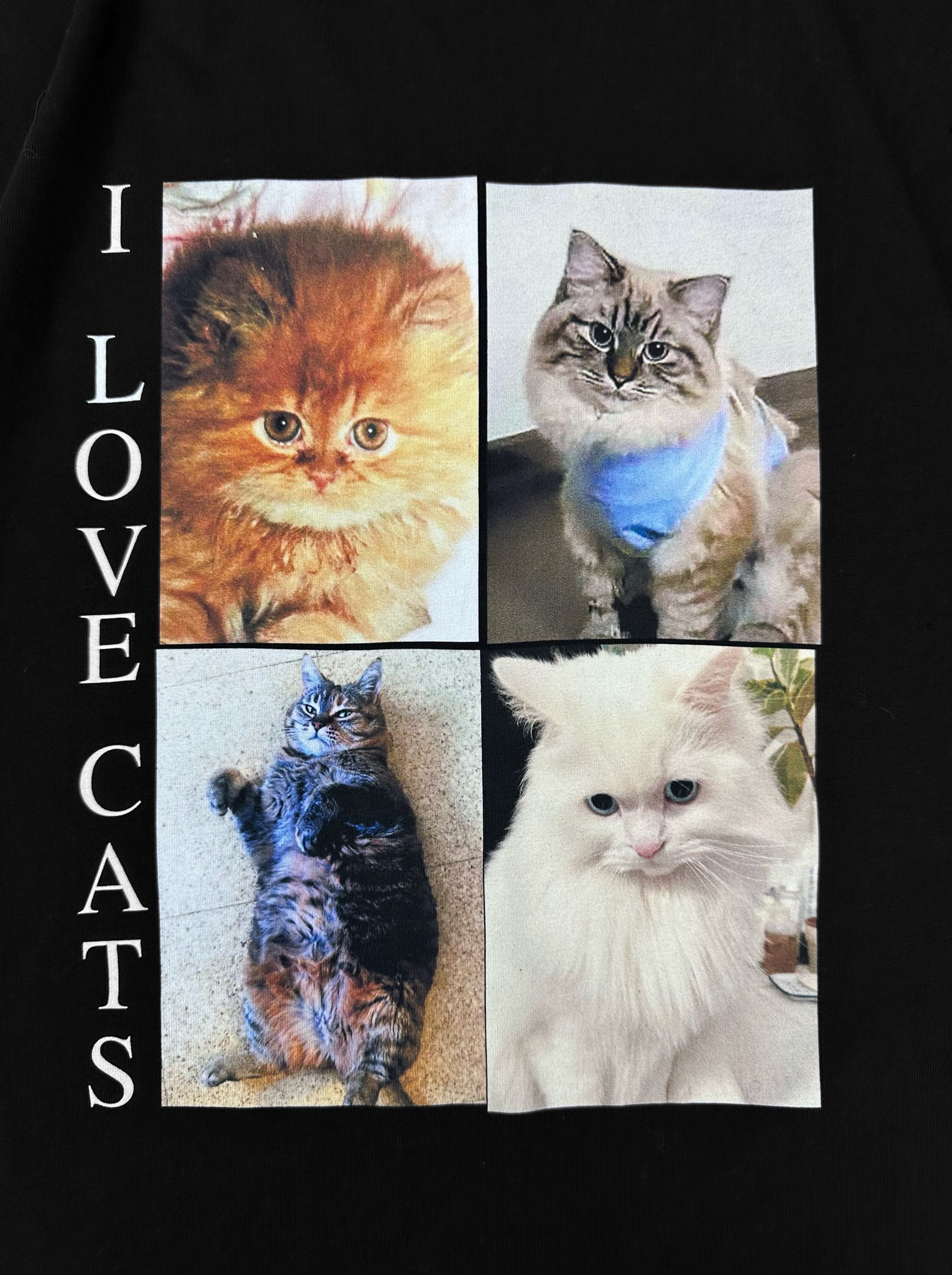 SS20 Balenciaga ‘I Love Cats’ Black Meow Graphic T-Shirt