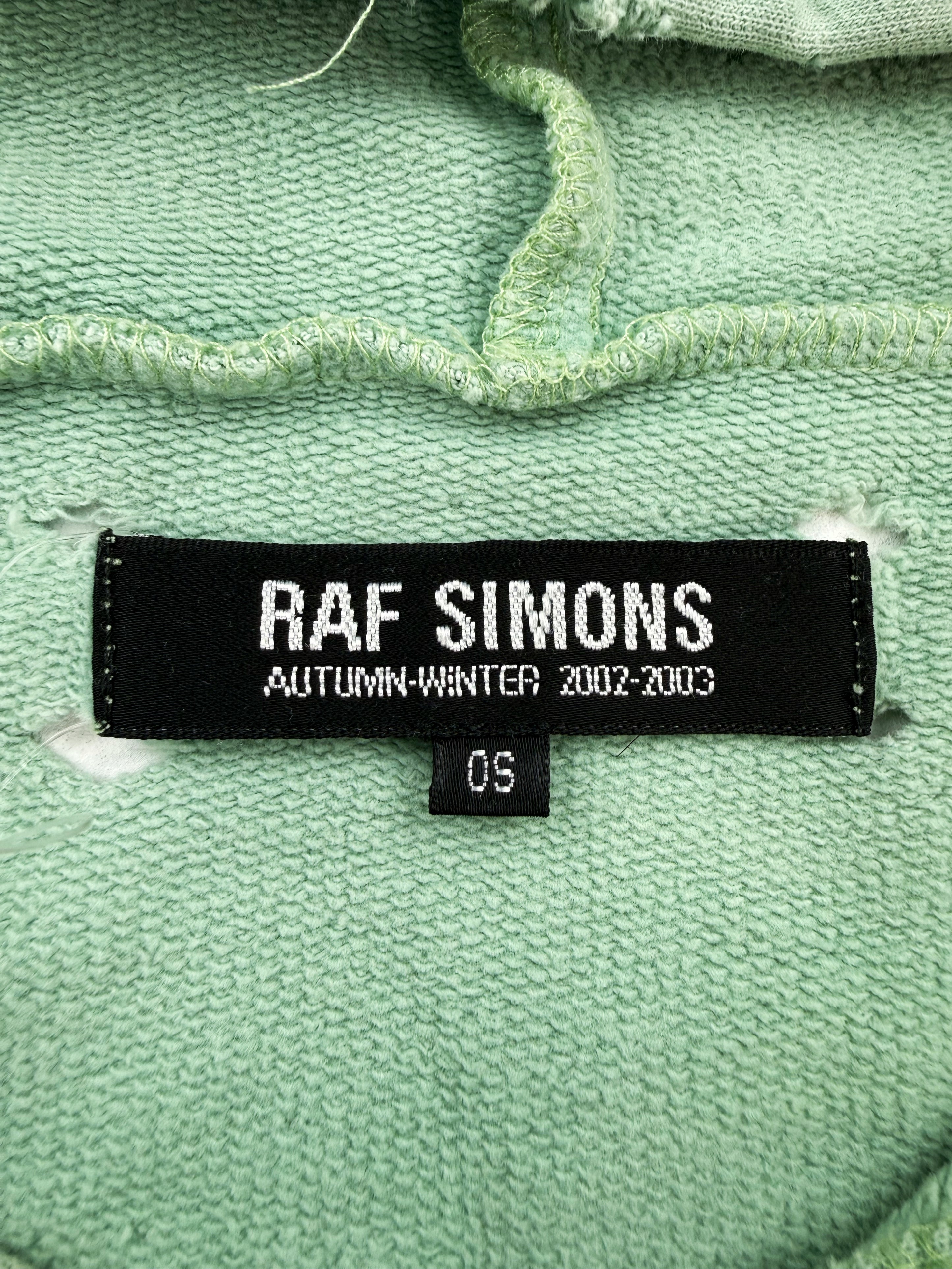 AW02 Raf Simons Mint Roots OS Virginia Creeper Raglan Graphic Hoodie