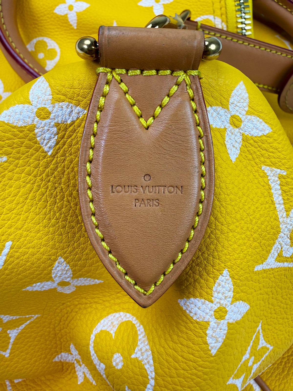 SS24 Louis Vuitton Speedy P90 40 Bandoulier Leather Handbag