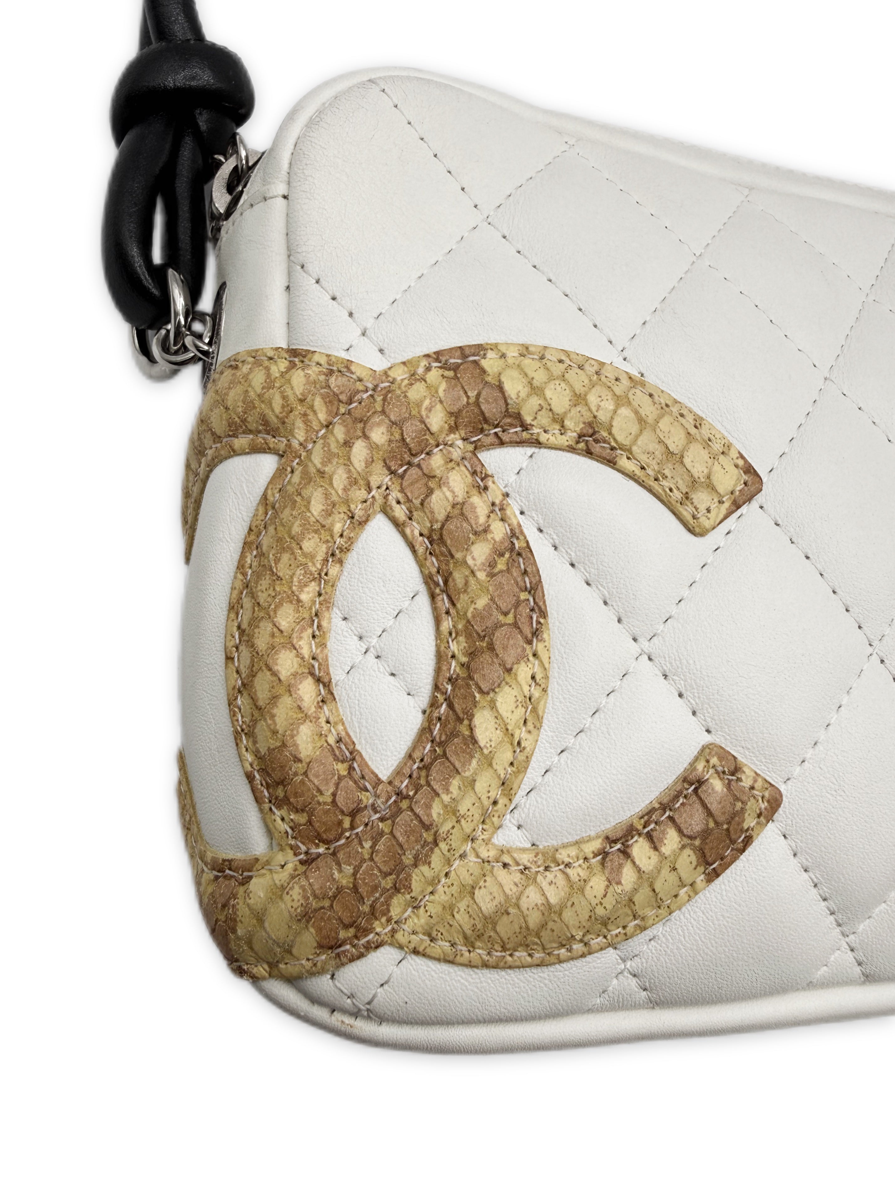 Chanel Python Leather CC Cambon Pochette Mini Bag